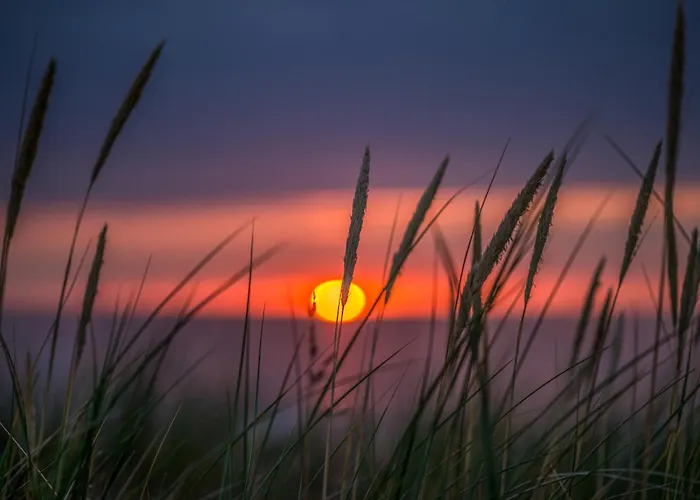 Duenenblick Premium-apartments Lägenhet